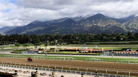 Santa Anita to install artificial training track as part of $31 million in renovations